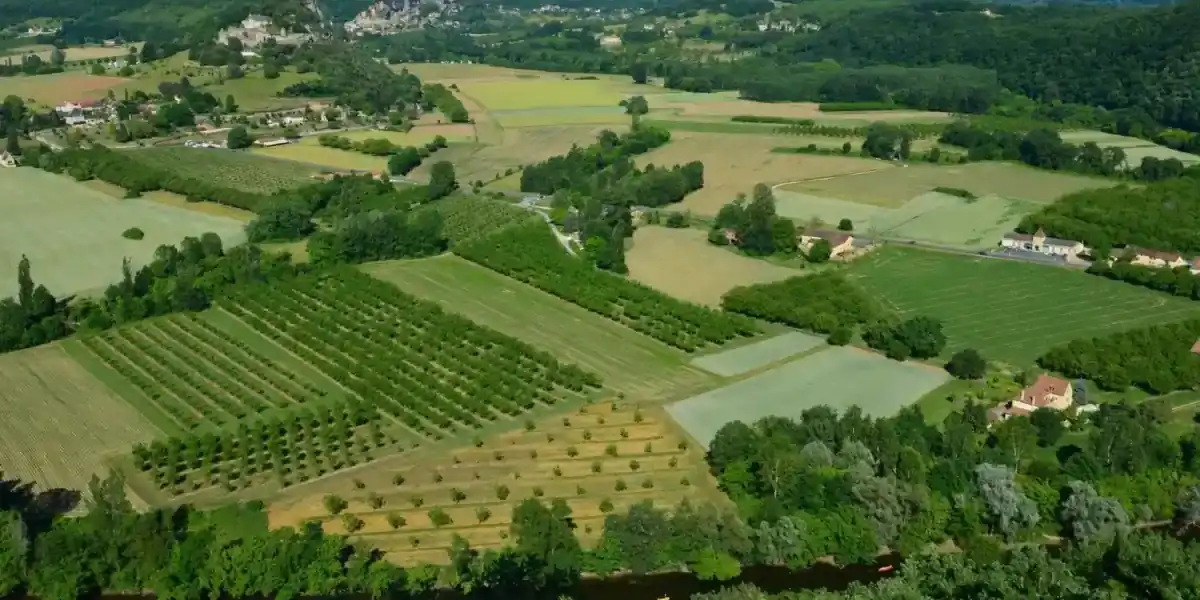 Open Plots in Amaravati – APCRDA Approved Residential Plots for Sale